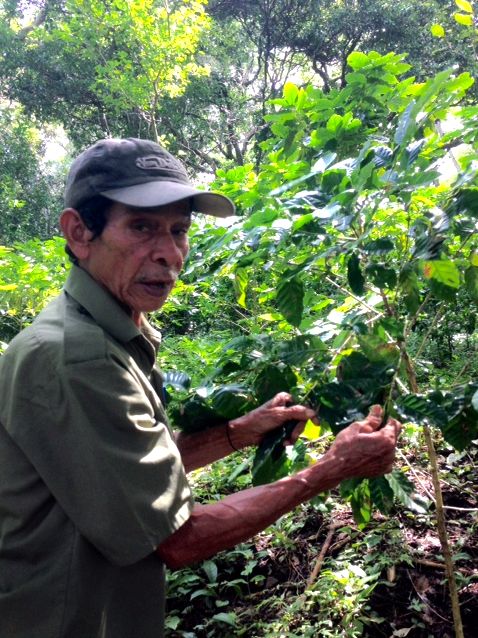 Coffee plantation tour at Finca La Magdalena, Ometepe