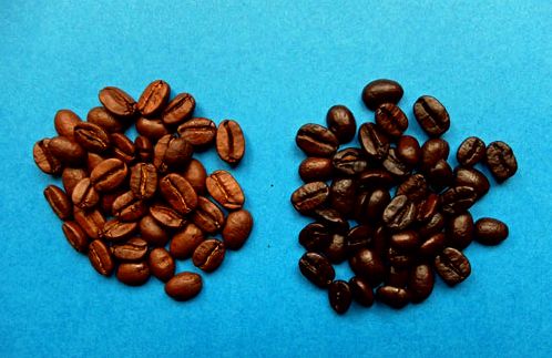 Light roast versus. dark roast coffee: that is healthier? - health ground and tell you an