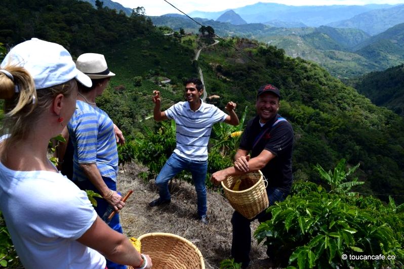 Medellin coffee farm tour very easy