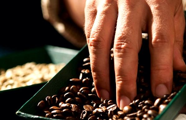 Costa Rica Coffee Plantation Tours