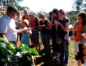 Espiritu Santu Coffee Plantation Tour