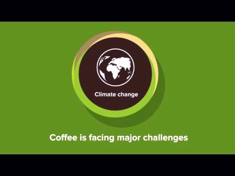 Sustainable coffee challenge- conservation worldwide within the