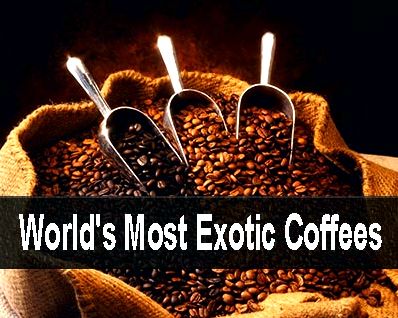 3 of the worlds most exotic coffees