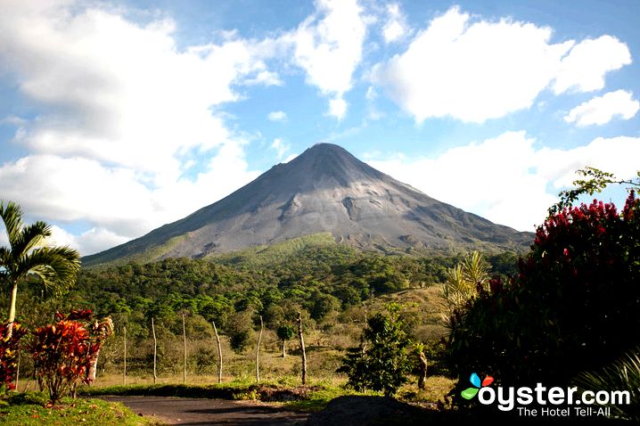 Why you need to remain on an espresso plantation in panama and nicaragua , have the ability to had